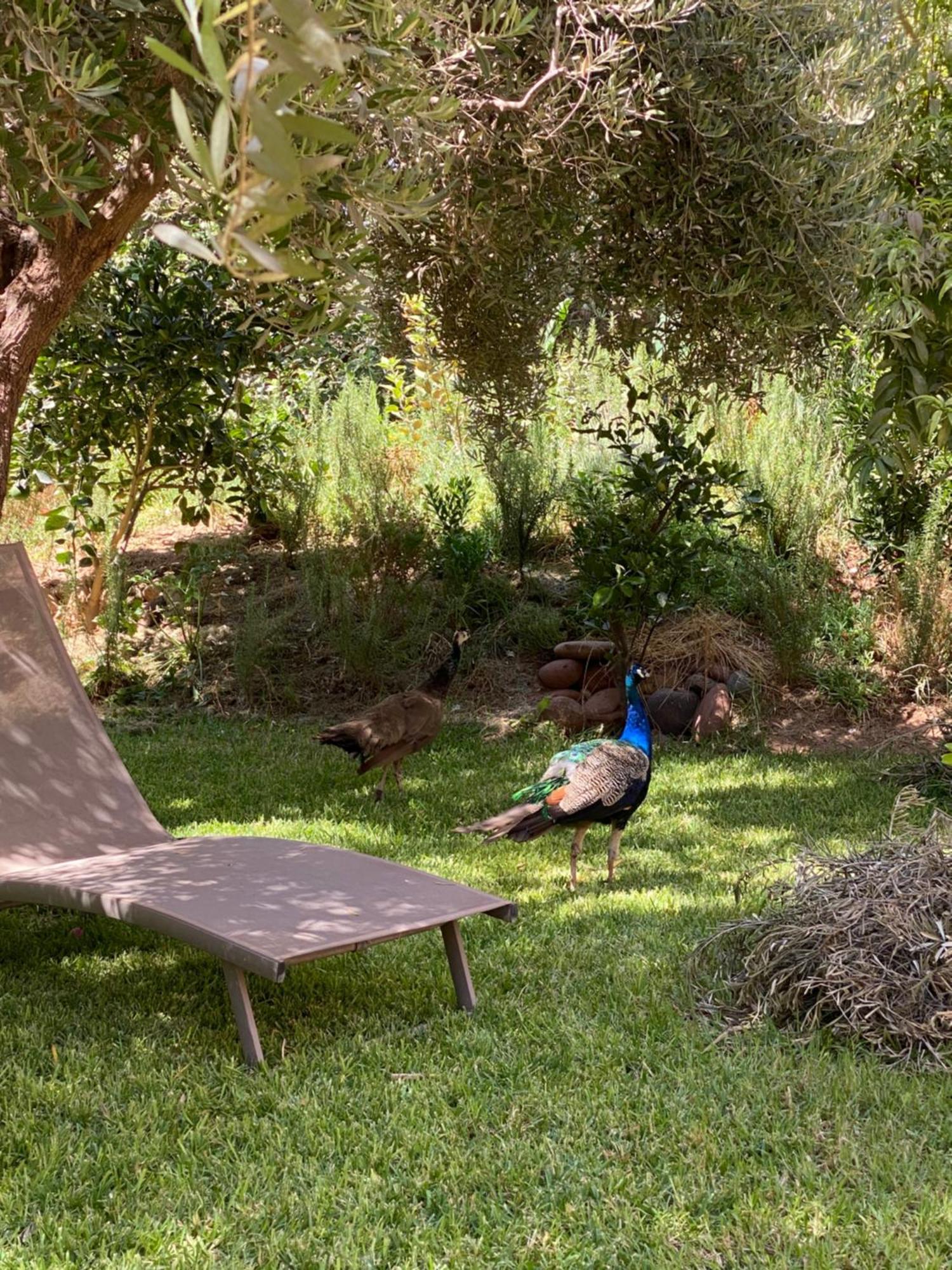 Jardin Sakina - Chambre D'Hotes Oulad Moumene Exterior photo