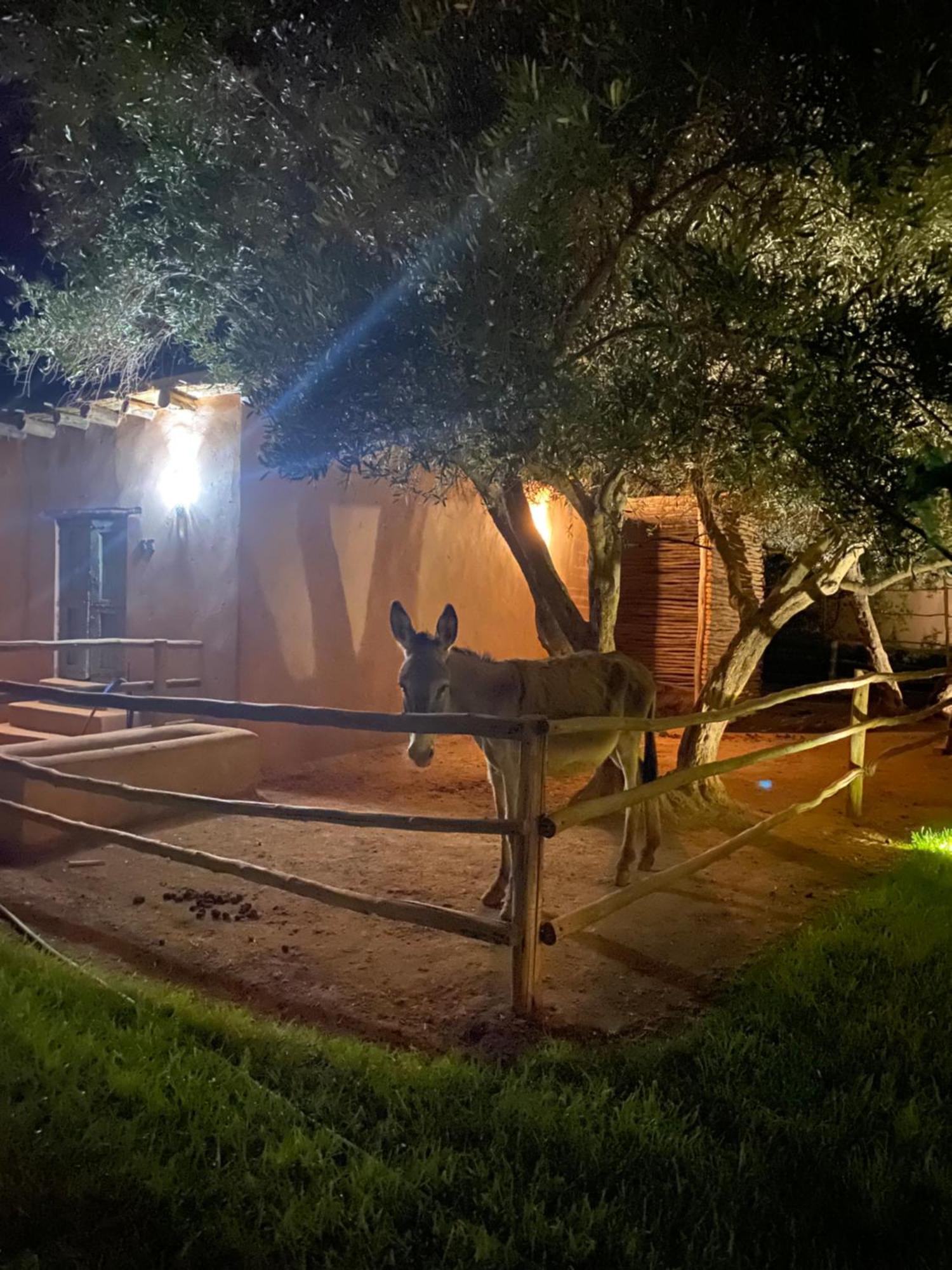 Jardin Sakina - Chambre D'Hotes Oulad Moumene Exterior photo